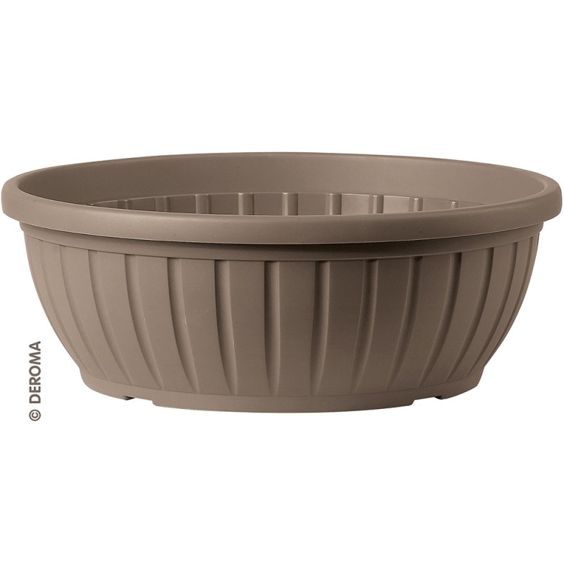DAY R bowl camel