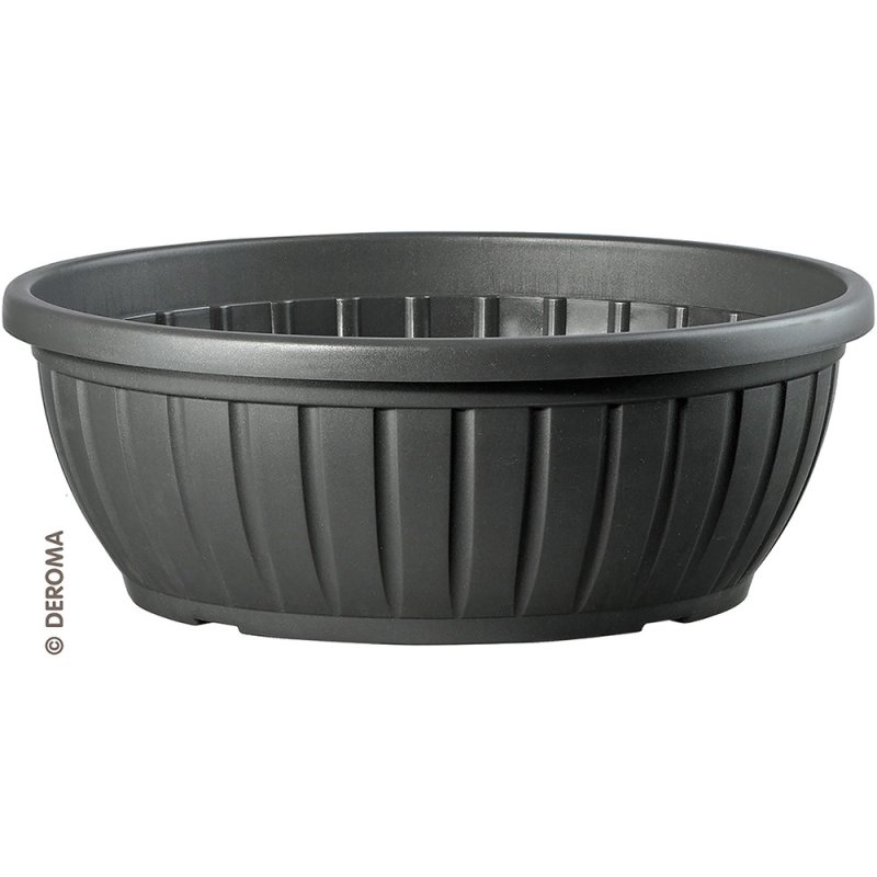 DAY R bowl anthracite