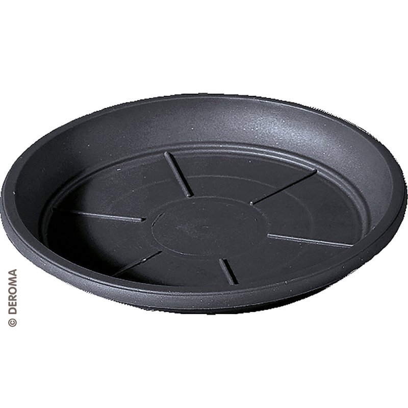 DAY R saucer anthracite