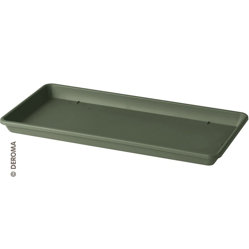 Day R rectangular XL saucer  green