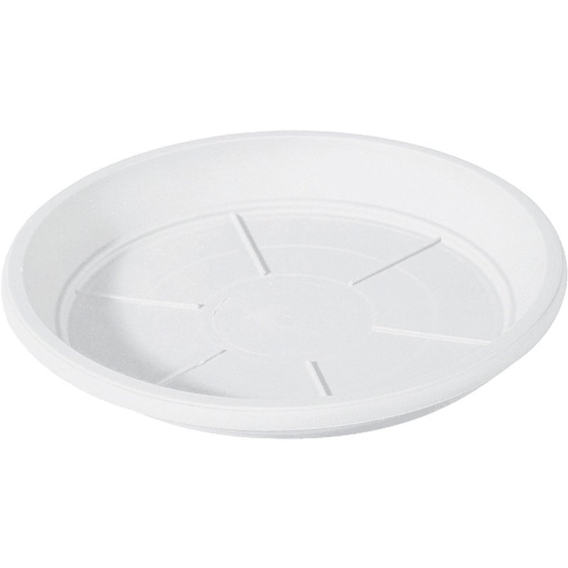 DAY R saucer