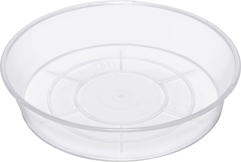 Transparent saucer